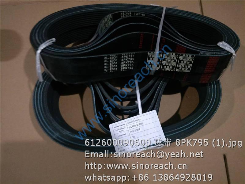 612600090600 皮带 8PK795 (1)
