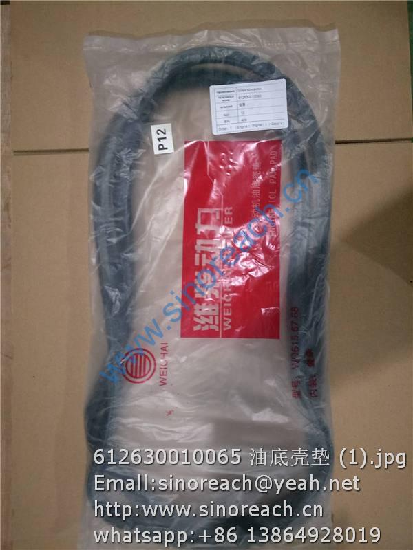 612630010065 油底壳垫 (1)