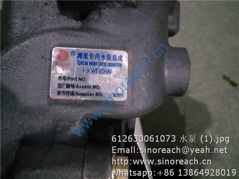 612630061073 水泵 (1)