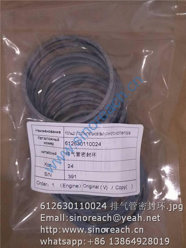 612630110024 排气管密封环