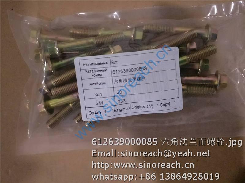 612639000085 六角法兰面螺栓