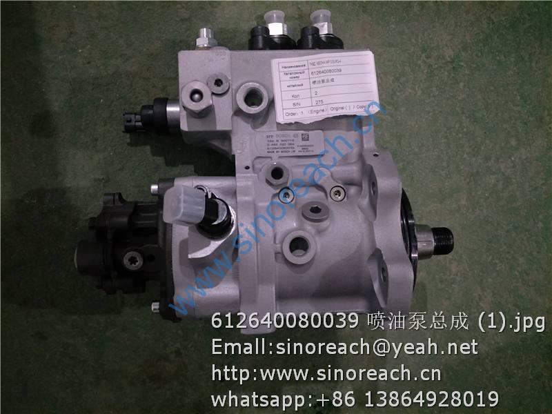 612640080039 喷油泵总成 (1)