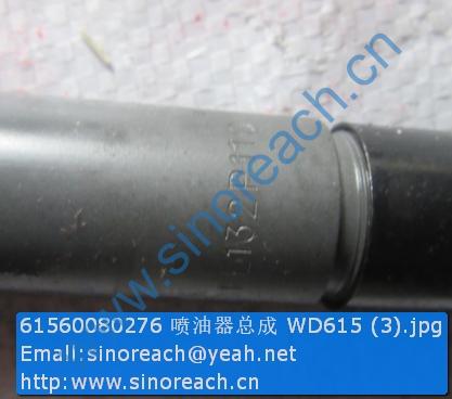 61560080276 喷油器总成 WD615 (3)