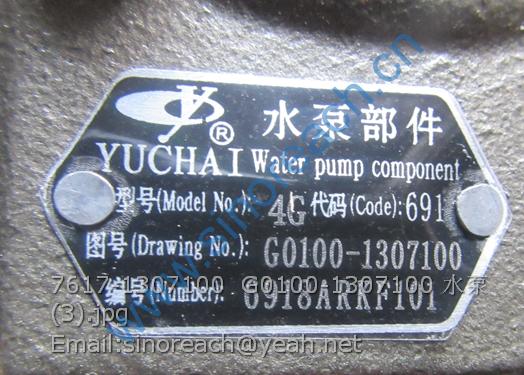7617-1307100 G0100-1307100 水泵 (3)