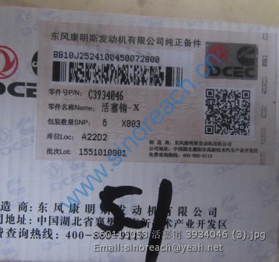 860115058 活塞销 3934046 (3)