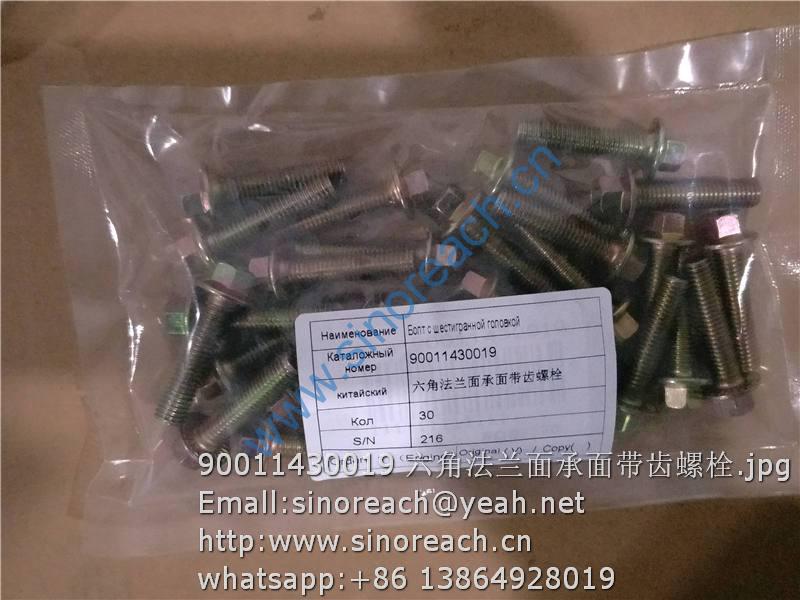 90011430019 六角法兰面承面带齿螺栓