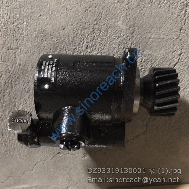 DZ93319130001 泵 (1)