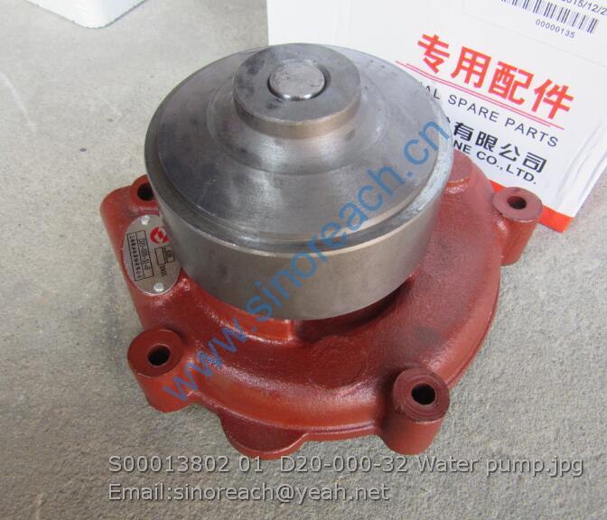 S00013802 01 D20-000-32 Water pump