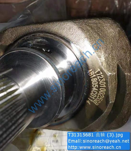 T31315681 曲轴 (3)