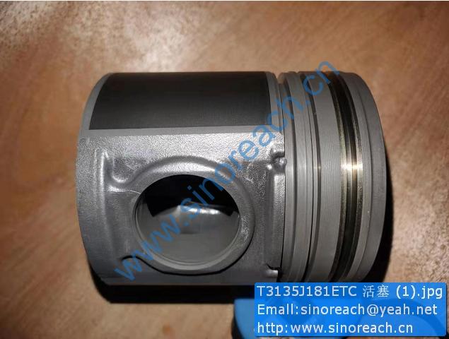T3135J181ETC 活塞 (1)