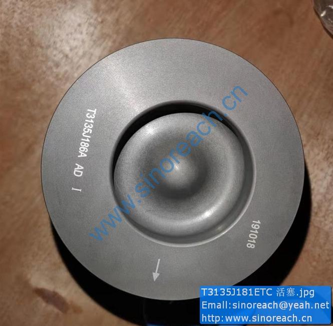T3135J181ETC 活塞