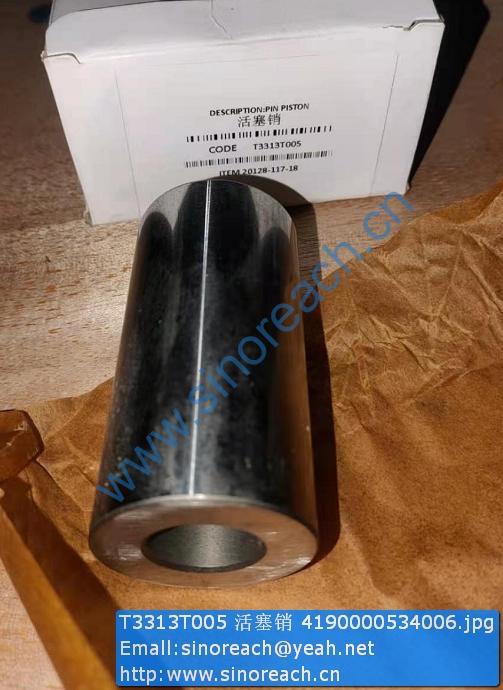 T3313T005 活塞销 4190000534006