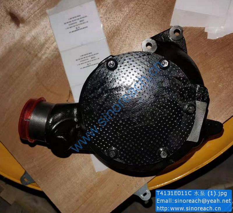 T4131E011C 水泵 (1)