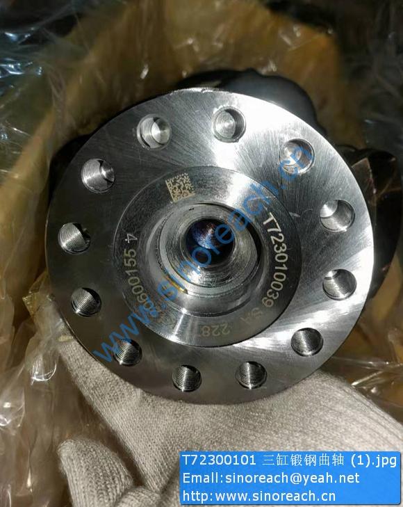 T72300101 三缸锻钢曲轴 (1)