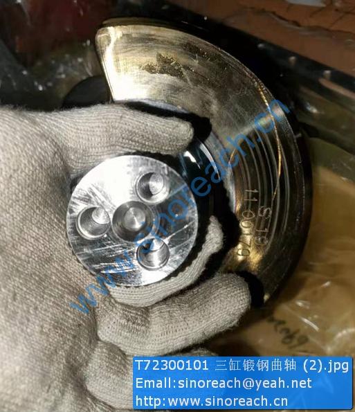 T72300101 三缸锻钢曲轴 (2)