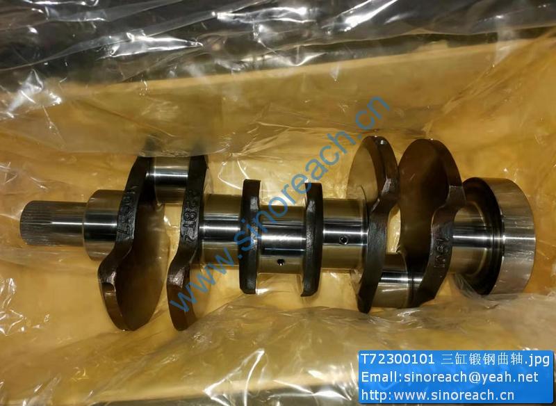 T72300101 三缸锻钢曲轴