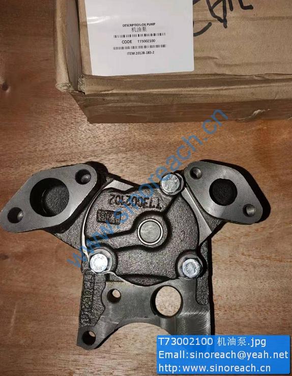T73002100 机油泵