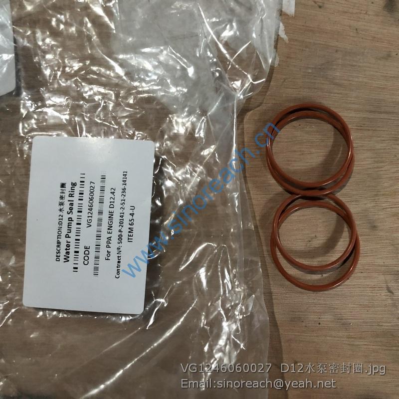 VG1246060027 D12水泵密封圈