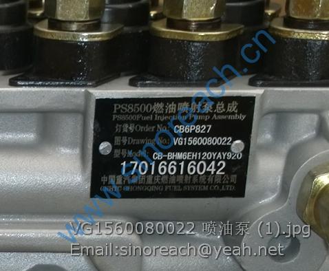 VG1560080022 喷油泵 (1)