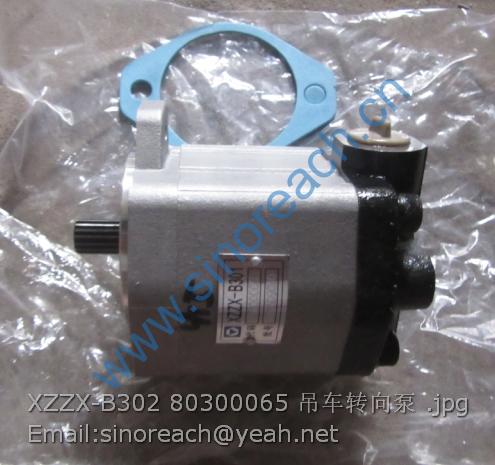 XZZX-B302 80300065 吊车转向泵