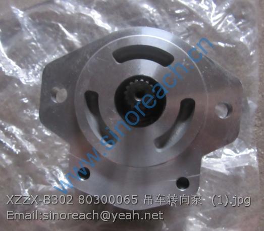XZZX-B302 80300065 吊车转向泵 (1)