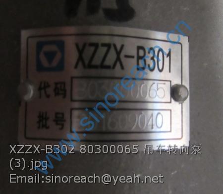 XZZX-B302 80300065 吊车转向泵 (3)