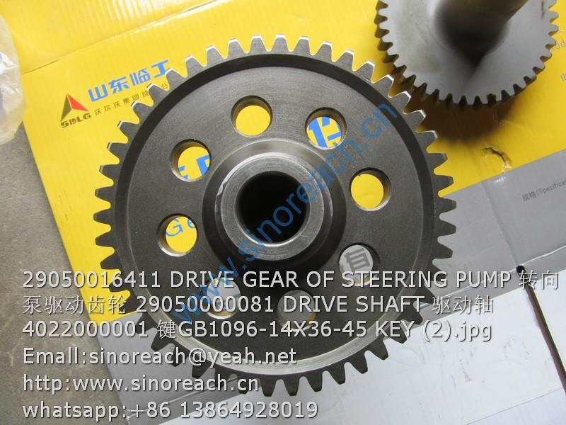 29050016411 DRIVE GEAR OF STEERING PUMP 转向泵驱动齿轮 29050000081 DRIVE SHAFT 驱动轴 4022000001 键GB1096-14X36-45 KEY (2)