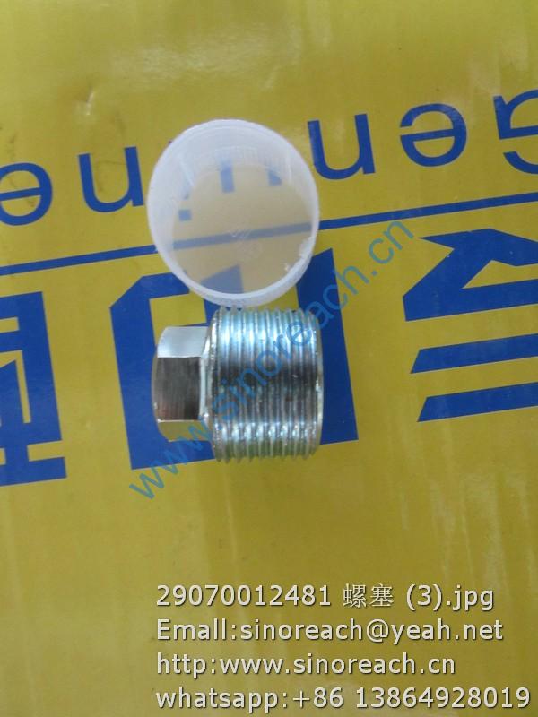 29070012481 螺塞 (3)