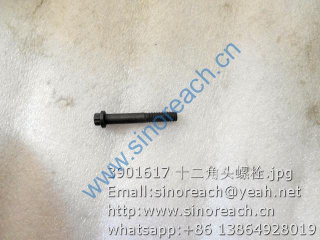 3901617 十二角头螺栓
