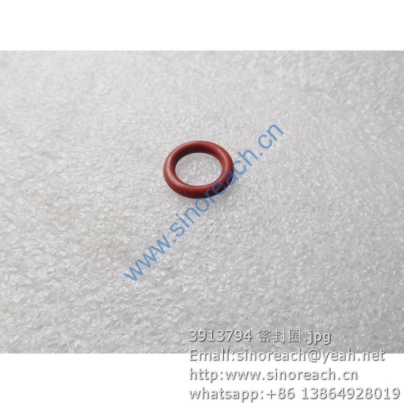 3913794 密封圈