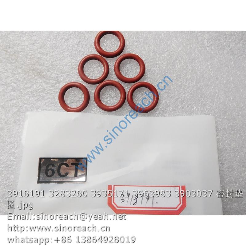3918191 3283280 3935171 3963983 3903037 密封垫圈