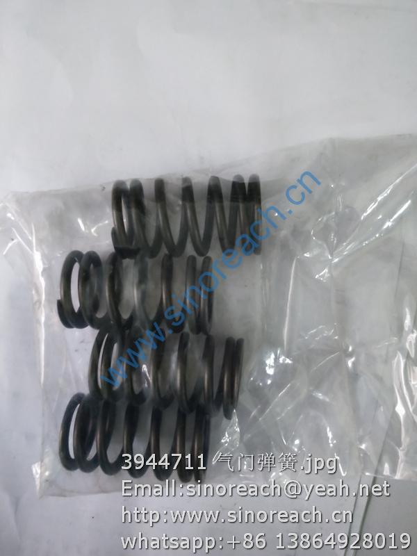 3944711 气门弹簧