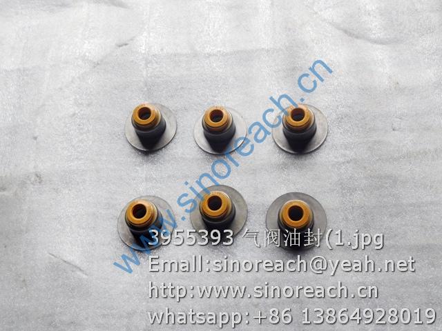 3955393 气阀油封(1