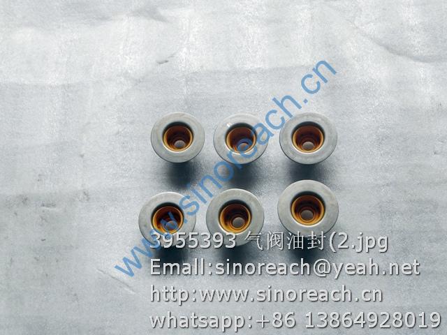 3955393 气阀油封(2