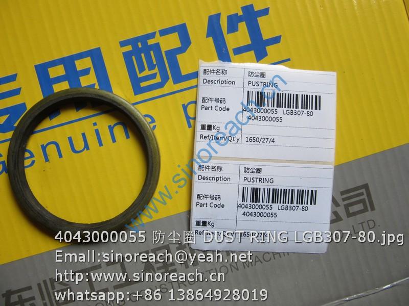 4043000055 防尘圈 DUST RING LGB307-80