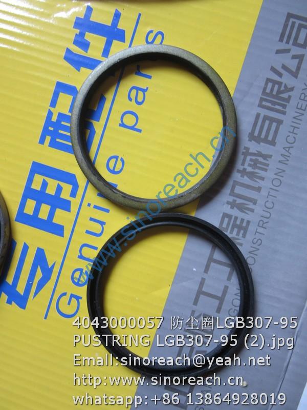 4043000057 防尘圈LGB307-95 PUSTRING LGB307-95 (2)