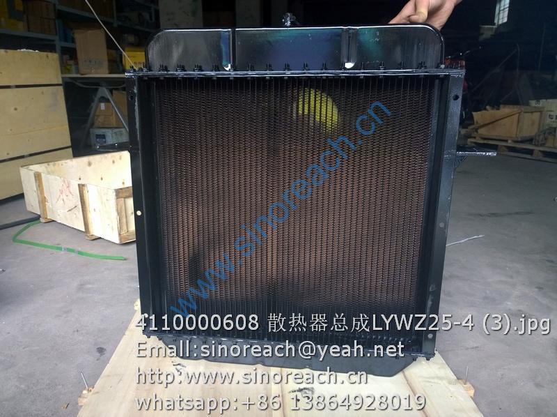 4110000608 散热器总成LYWZ25-4 (3)
