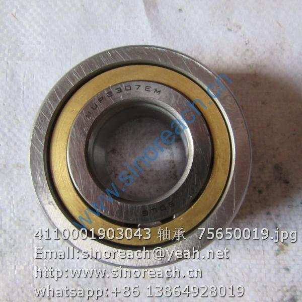 4110001903043 轴承 75650019