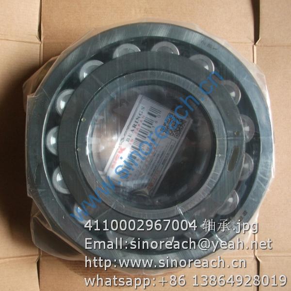 4110002967004 轴承
