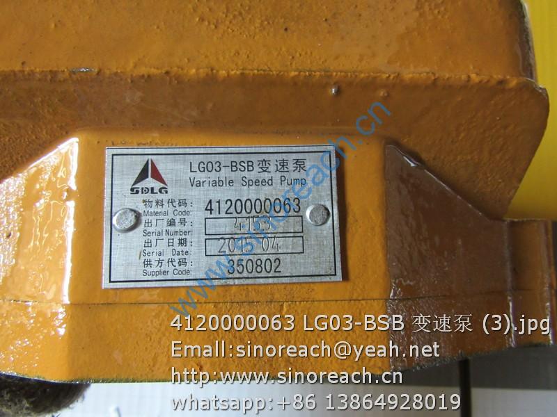 4120000063 LG03-BSB 变速泵 (3)