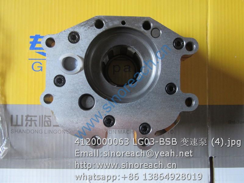 4120000063 LG03-BSB 变速泵 (4)