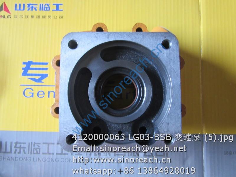 4120000063 LG03-BSB 变速泵 (5)