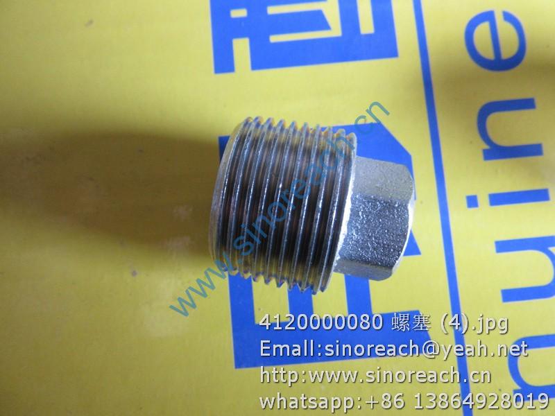 4120000080 螺塞 (4)
