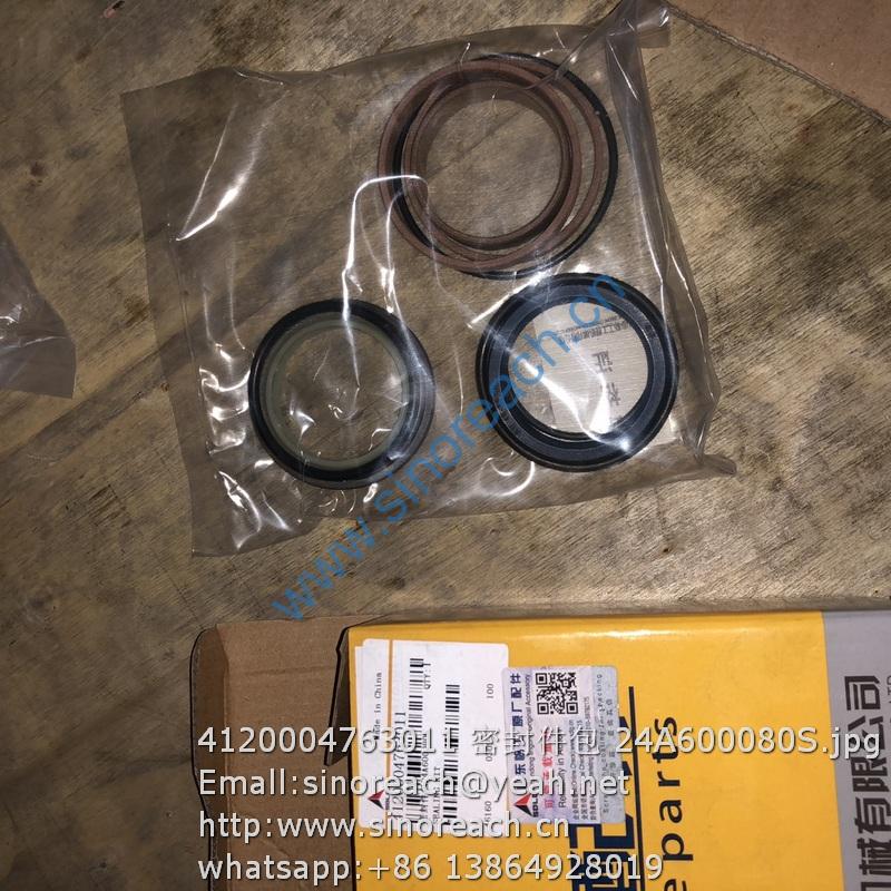 4120004763011 密封件包 24A600080S