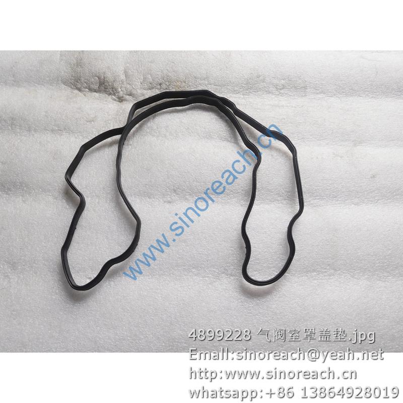 4899228 气阀室罩盖垫