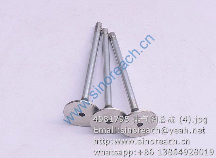 4981795 排气阀总成 (4)