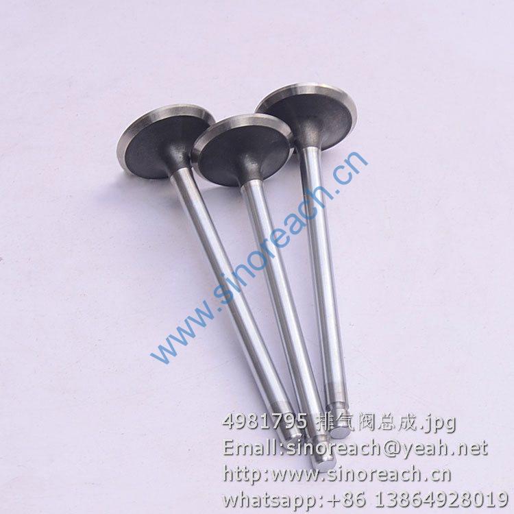 4981795 排气阀总成