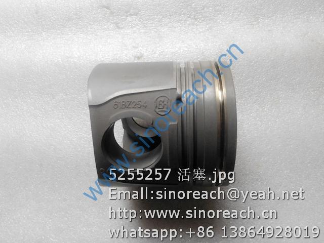 5255257 活塞