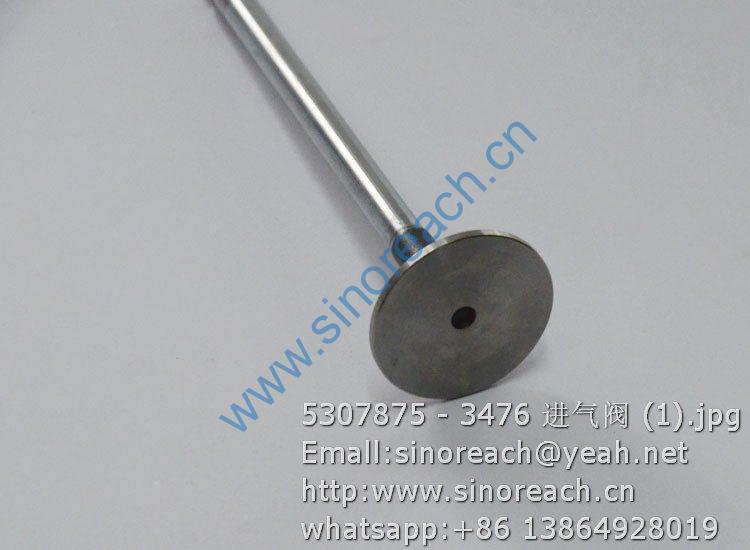 5307875 - 3476 进气阀 (1)