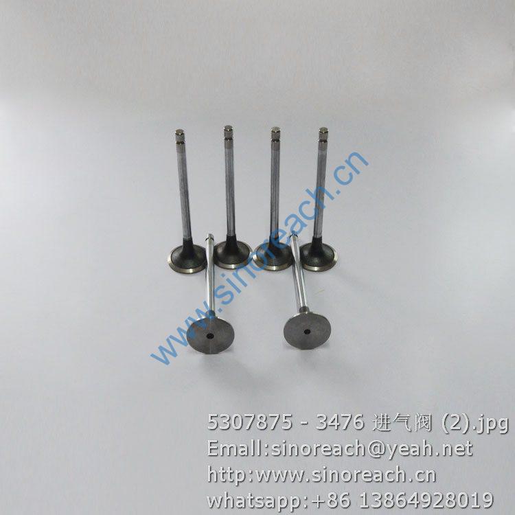 5307875 - 3476 进气阀 (2)